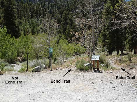 Echo Trail