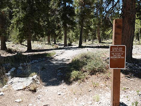 Echo Trailhead