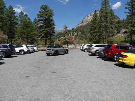 Fletcher Canyon Trailhead