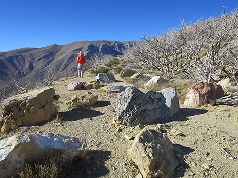 Griffith Peak Trailhead