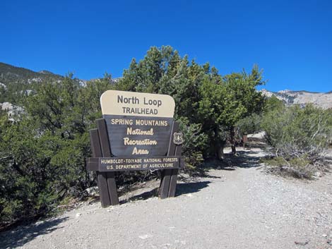 North Loop Trailhead