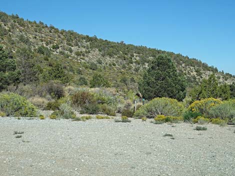 Step Ladder Trailhead