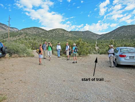 Lower Telephone Canyon Trail