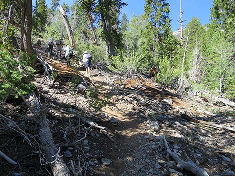 Wildhorse Loop Trail