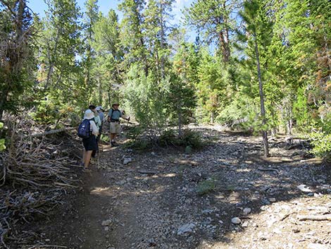 Wildhorse Loop Trail