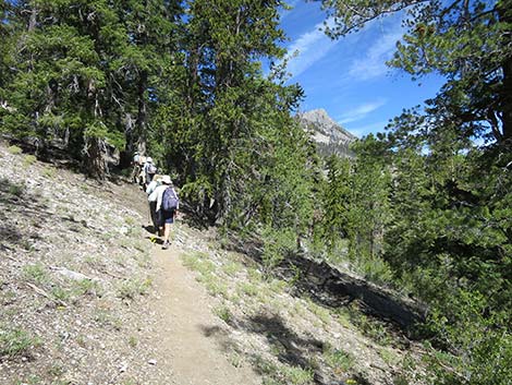 Wildhorse Loop Trail