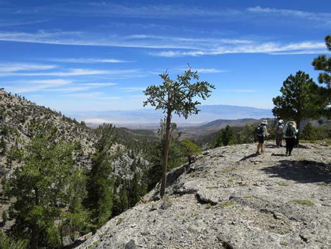 Wildhorse Loop Trail