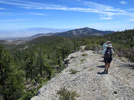 Wildhorse Loop Trail