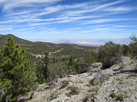 Wildhorse Loop Trail