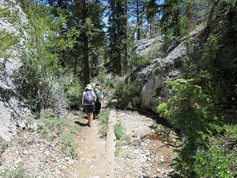 Wildhorse Loop Trail