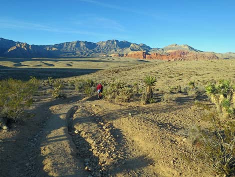 Fossil Trail