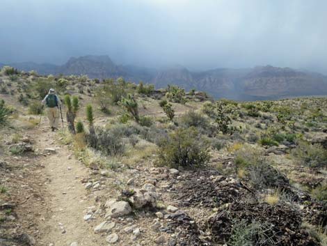 Fossil Trail