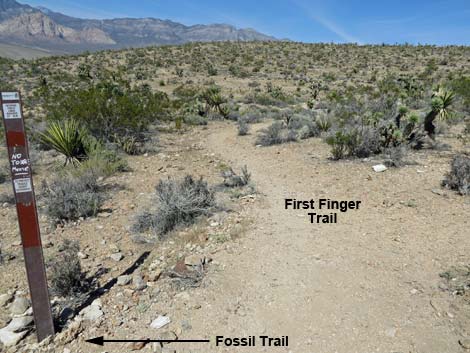 Fossil Trail