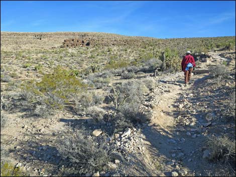 Fossil Trail