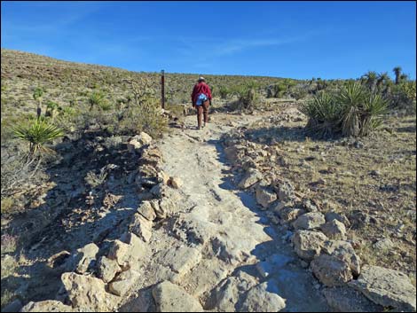 Fossil Trail