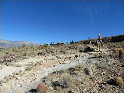 Rock Garden Trail