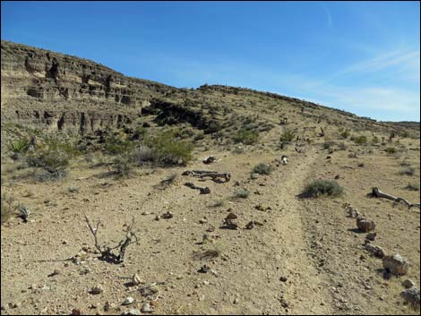 Rock Garden Trail