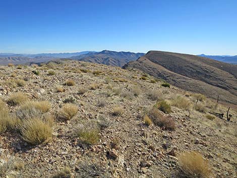 Birdspring Peak