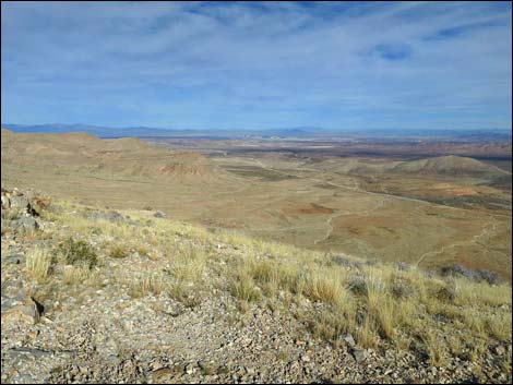 Birdspring Peak