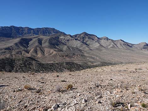 Birdspring Peak