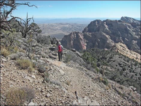 Bridge Mountain Trail