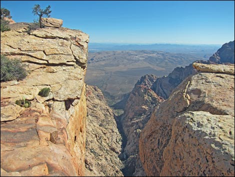 Bridge Mountain Trail