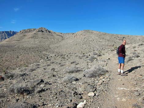 Ridgeline Loop Trail