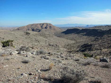 Ridgeline Loop Trail