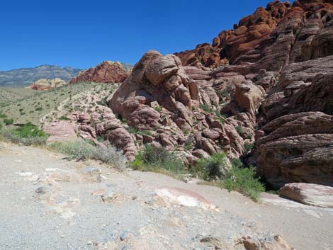 Calico 1 Trail