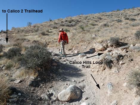 Calico 2 Trail