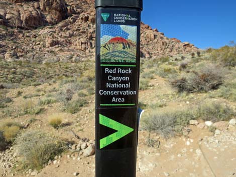 Calico Basin Trail