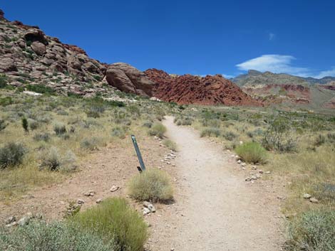 Calico Basin Trail