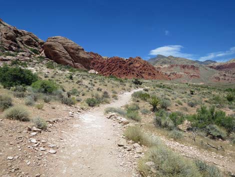 Calico Basin Trail