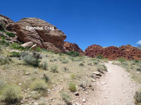 Calico Basin Trail