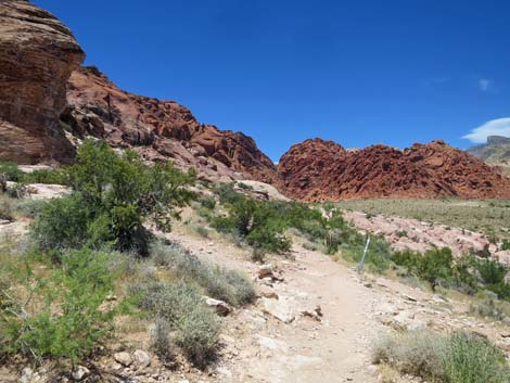 Calico Basin Trail