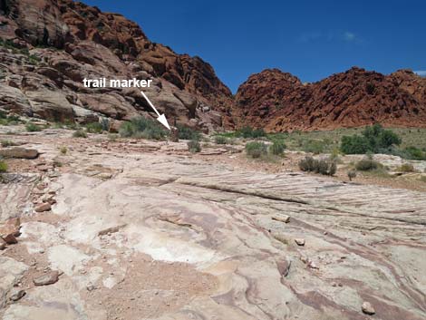 Calico Basin Trail