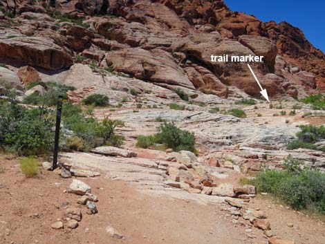 Calico Basin Trail