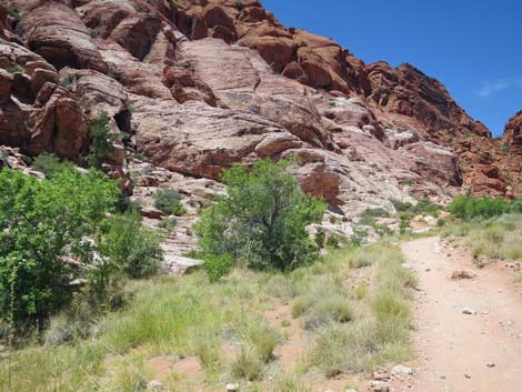 Calico Basin Trail