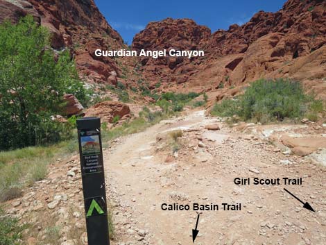 Calico Basin Trail