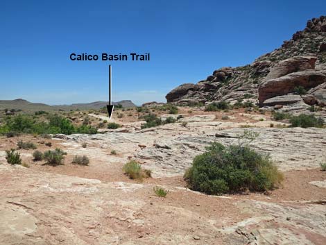 Calico Basin Trail