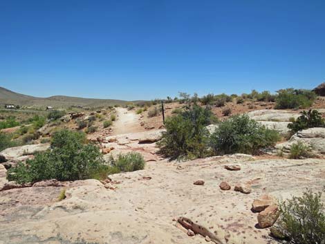 Calico Basin Trail