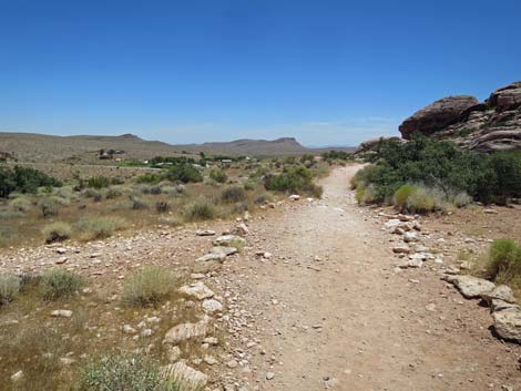 Calico Basin Trail