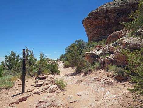 Calico Basin Trail