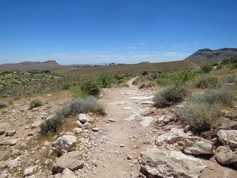 Calico Basin Trail