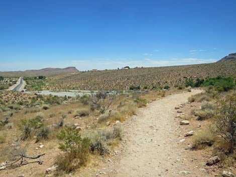 Calico Basin Trail