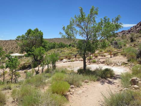 Calico Basin Trail