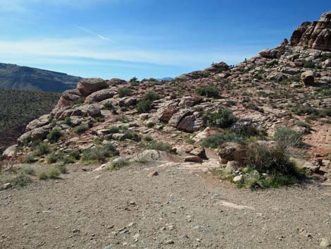 Calico Hills Loop Trail