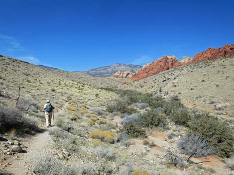 Grand Circle Loop Trail