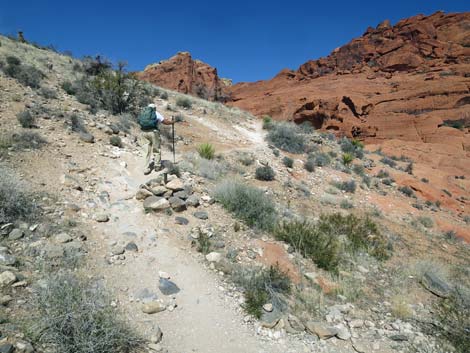 Grand Circle Loop Trail