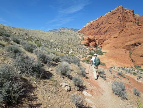 Grand Circle Loop Trail